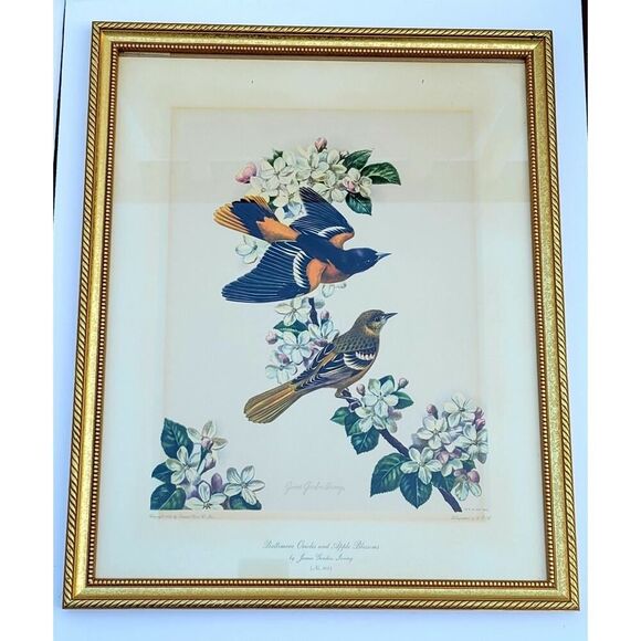 Vtg Baltimore Orioles & Apple Blossoms Bird Lithograph James Gordon Irving Frame - Picture 1 of 9